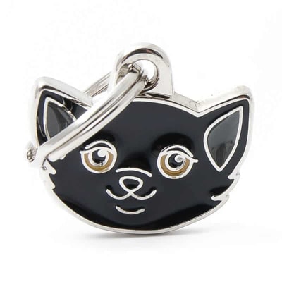 BLACK EUROPEAN SHORTHAIR