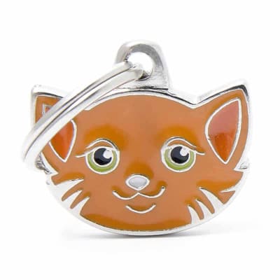 RED EUROPEAN SHORTHAIR1