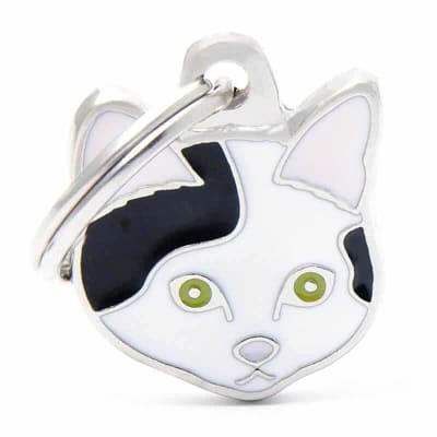 WHITE AND BLACK EUROPEAN SHORTHAIR