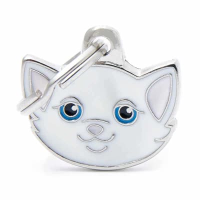 WHITE EUROPEAN SHORTHAIR1