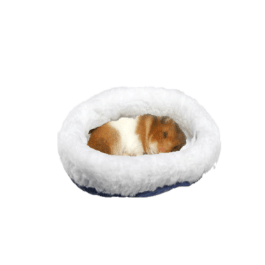 NIDO DE HAMSTER1