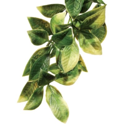 EXO TERRA DECO PLANTA JUNGLA MANDARIN 711