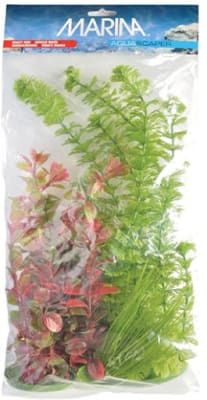 PACK PLANTAS ACUATICAS (4UNID)