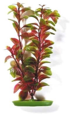 PLANTA ACUATICA AQUASCAPER RED LUD 30CM