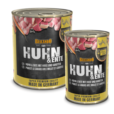 BELCANDO POLLO CON PATO MIJO Y ZANAHORIAS