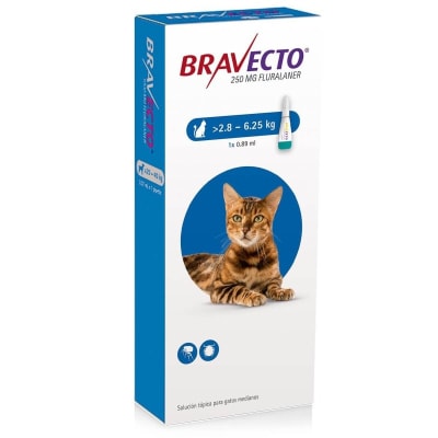 BRAVECTO GATOS 2,8 - 6,25 KG