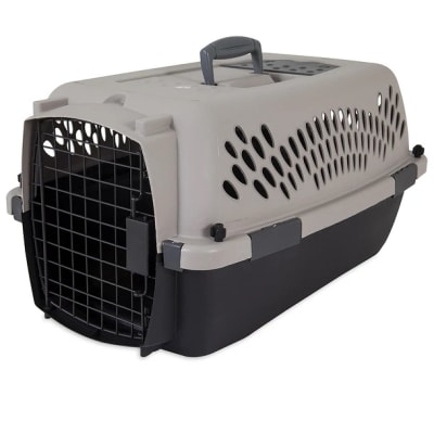 DSK PET TAXI 19 IN