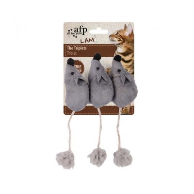 AFP LAMB TRIPLETS MICE1