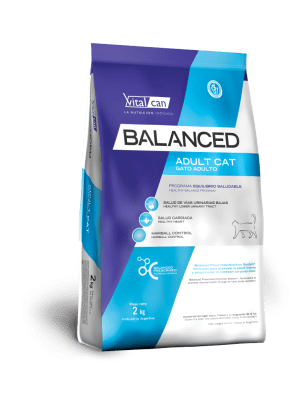 BALANCED GATO ADULTO 2KG1