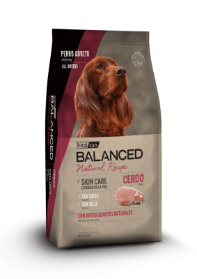 BALANCED NATURAL RECIPE CERDO
