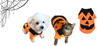 DISFRAZ CALABAZA1
