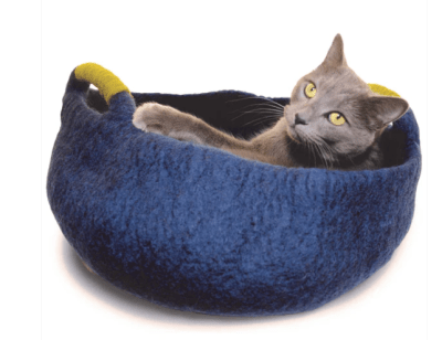 CESTA 2 ASAS NAVY1