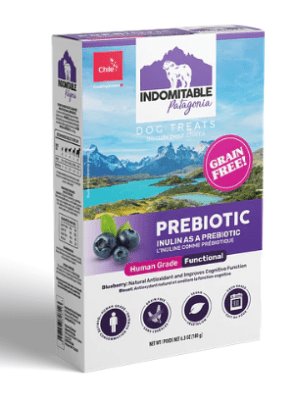 Galletas Indomitable Patagonia Para Perro Blueberry1