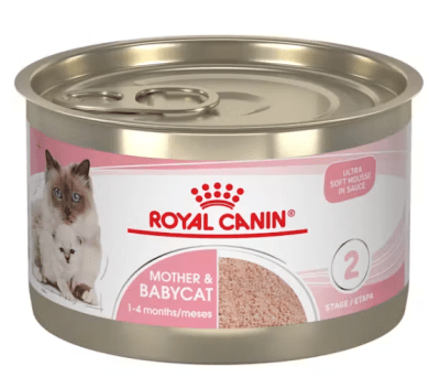 ROYAL CANIN MOTHER & BABYCAT WET