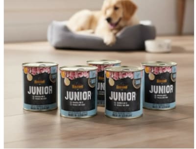 PACK 6X JUNIOR AVE Y HUEVO 800G