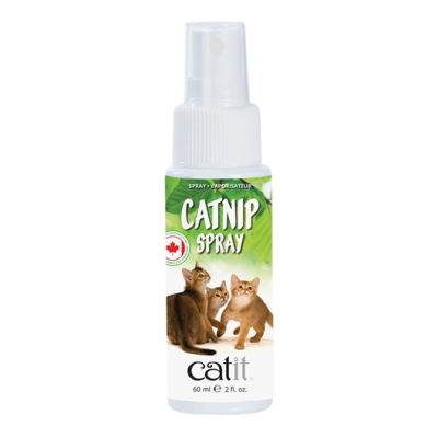 CATIT 2.0 CATNIP SPRAY 60ML1