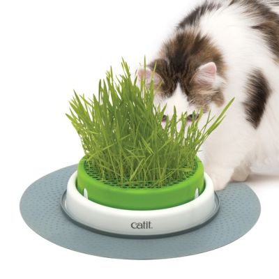 CATIT SENSES 2.0 GERMINADOR DE PASTO1