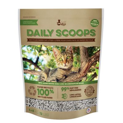 CL DAILY SCOOPS PAPER LITTER