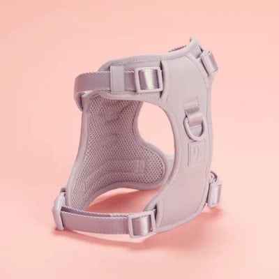 PEPS ARNES TALLA M PURPLE1