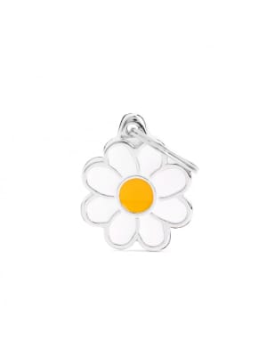 DAISY