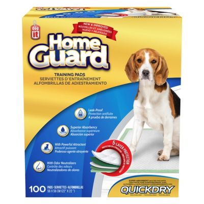 DOGIT ALFOMBRILLA EDUCADORA  MEDIUM 100U