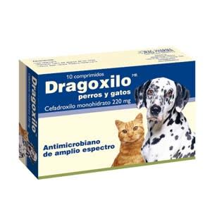 DRAGOXILO 220 MG 10 COMPRIMIDOS