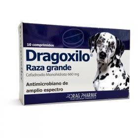 DRAGOXILO RAZA GRANDE 660 MG