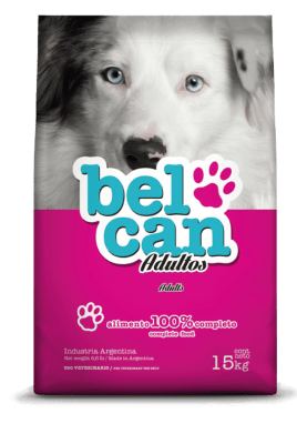 BELCAN PERRO ADULTO