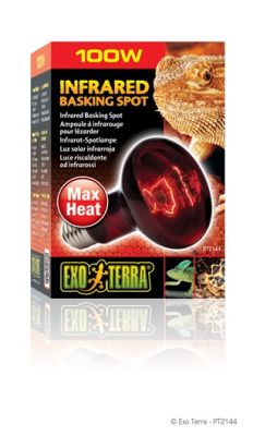 EXO T. AMPOLLETA HEAT GLO INFRARROJA