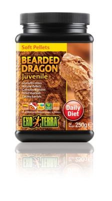 EXO TERRA ALIMENTO DRAGON BARBUDO 250G1
