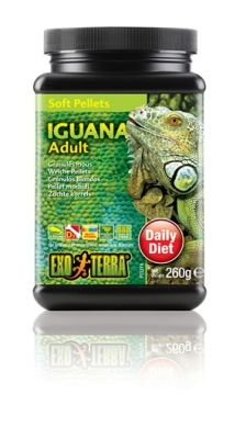 EXO TERRA ALIMENTO IGUANA ADULTA 260 GR
