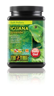 EXO TERRA ALIMENTO IGUANA JUVENIL 240 GR1