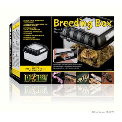 EXO TERRA CAJA CRIANZA SMALL