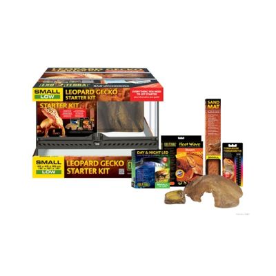 EXO TERRA KIT INICO GECKO LEOPARDO1