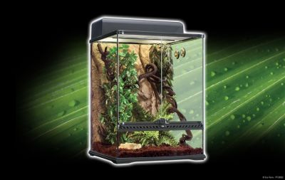 EXO TERRA KIT TERRARIO TROPICAL, MED1