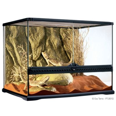 EXO TERRA TERRARIO ANCHO M 60X45X45