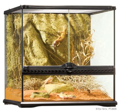 EXO TERRA TERRARIO ANCHO S 45X45X45