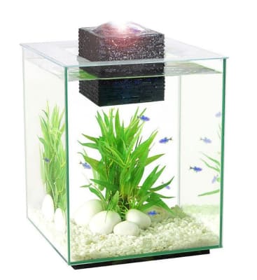 ACUARIO FLUVAL CHI CON CUBIERTA 19 L