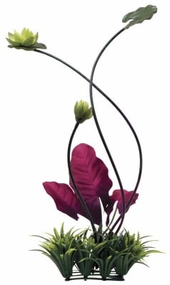 FLUVAL CHI LILY PAD PLANT GRASS1