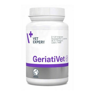 VET EXPERT GERIATIVET DOG X 45 UN