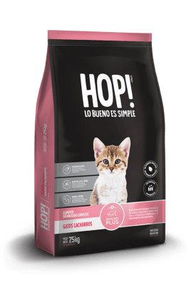 HOP! GATO KITTEN