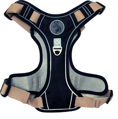 ARNES GRANDE FOR MY PET