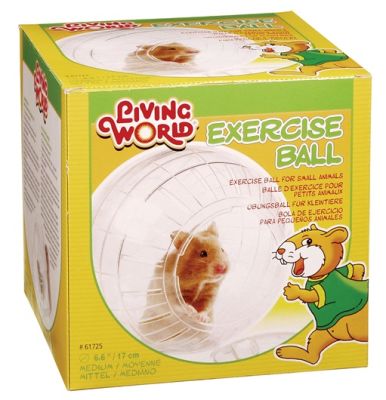 LW. BOLA DE EJERCICIO CON BASE, MEDIANO
