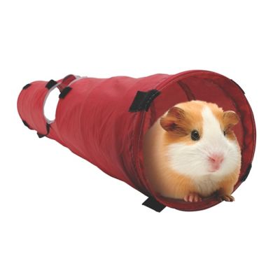 LW TUNEL PEQ. ANIMALES