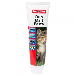 MAL PASTE DUO 100 GR ORAL