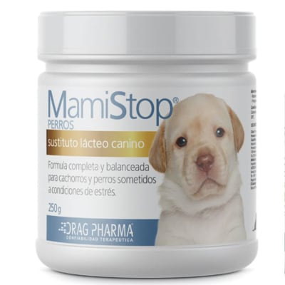 MAMISTOP PERRO PVO SOL ORAL X 125 GR