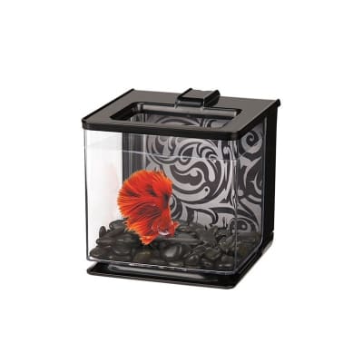 MARINA BETTA EZ CARE NEGRO 2.5 L1