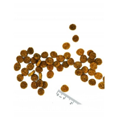 MONGE GATO STERILISED MONOPROTEIN TRUCHA 10KG