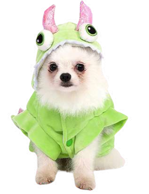 DISFRAZ MONSTRUO