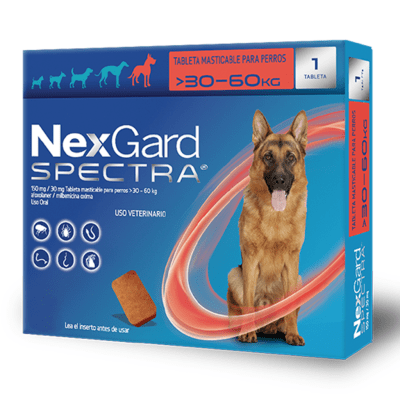 NEXGARD SPECTRA 30 - 60KG